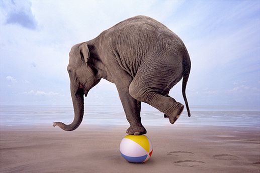 iepra - Self Emotional Balancing SEB © Niveau 1